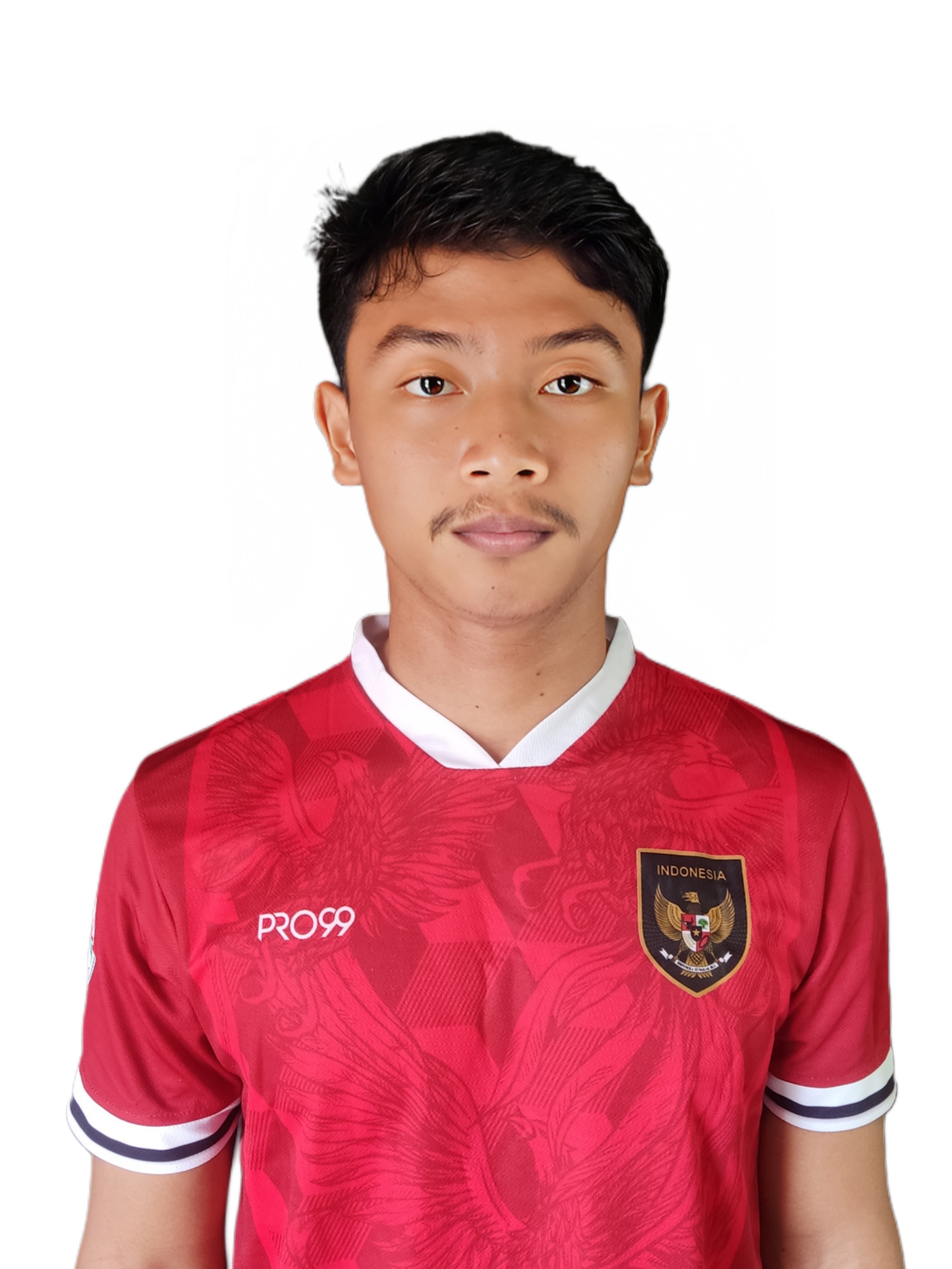 ARTHUR BLASIUS WIBOWO